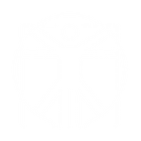 Contenido actualizado, creado por expertos de primer nivel.